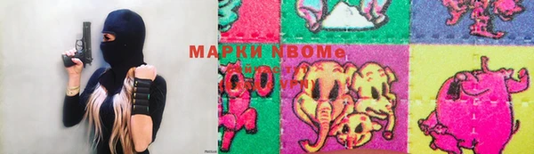 стафф Бородино