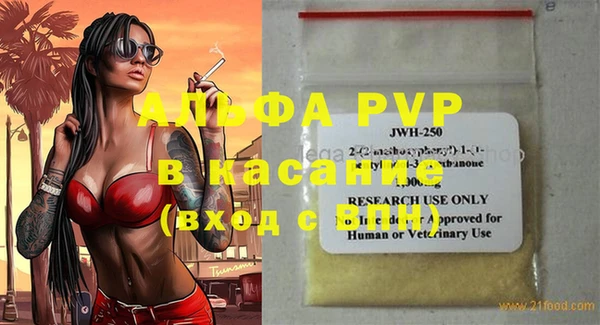 стафф Бородино