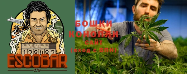 гидропоника Бронницы
