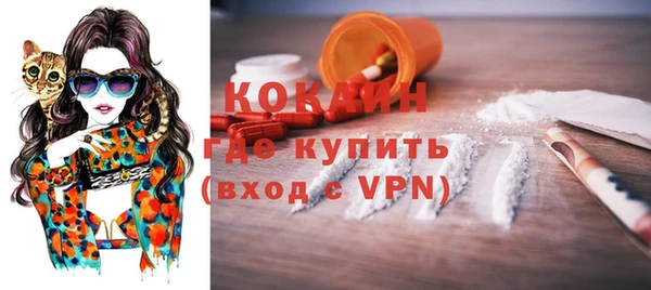 стафф Бородино