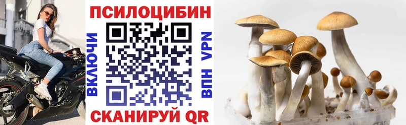 мега зеркало  дарнет шоп  Тюмень  Галлюциногенные грибы Psilocybine cubensis 